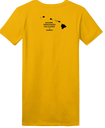 Aloha Turmeric Women's Short Sleeve T-shirt